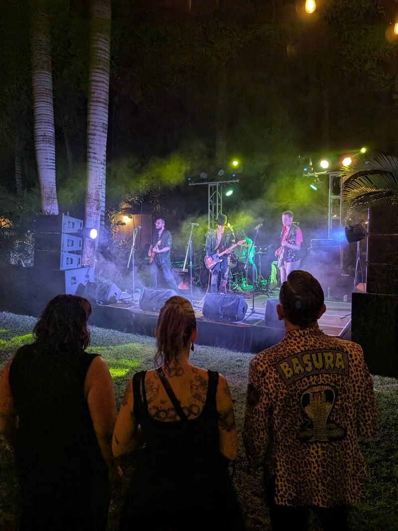 Live concert on the estate