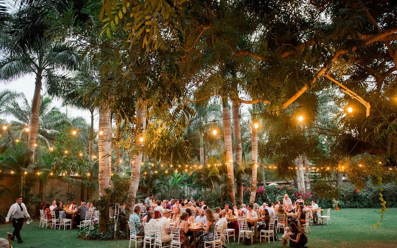 Evening reception under palm trees with string lights