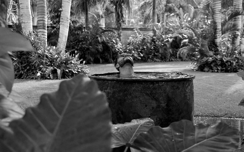 Fountain and garden